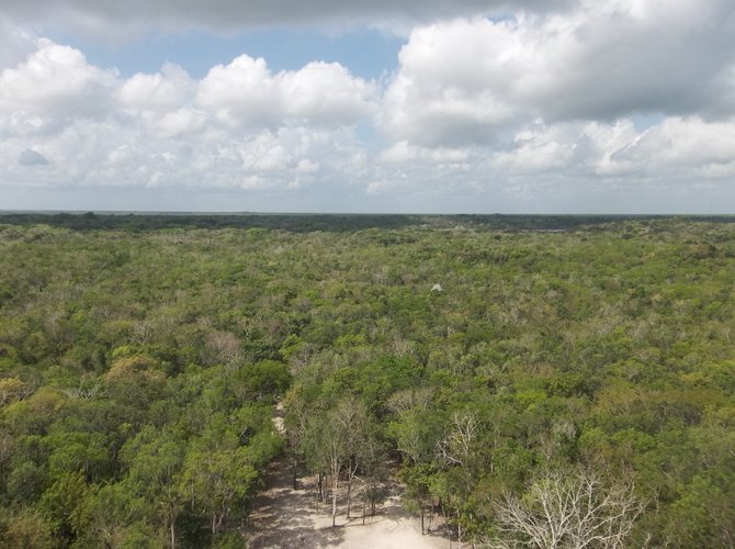 View from top of Nohuch Mul pyramid, Coba, Mexico