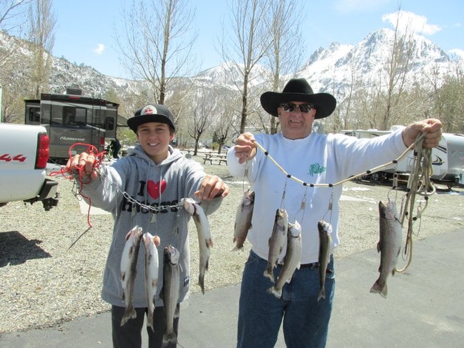 The writer, and his son Trevor, were happy with their early morning results. Harrison limited out within one hour of the opening of Eastern Sierra trout season.