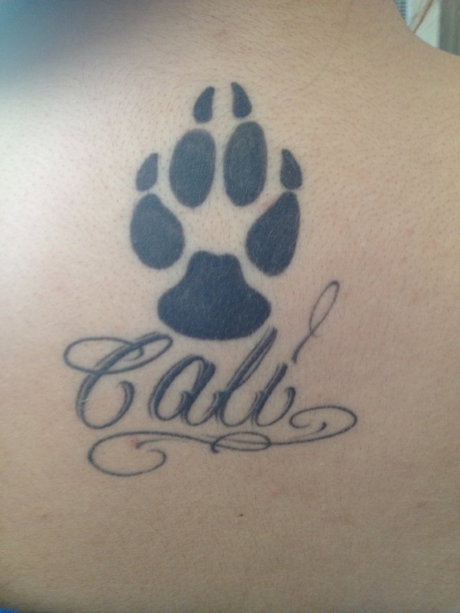 This tattoo I've had only a few years. I got it for my 18th birthday, I will soon be 21 in july. YAAY ME!  but it's dear to me. I had got this tattoo in memory of my Pit Bull named Cali. She was my baby girl and my protector. Thanks to Grosero Tattoo shop in lemon Grove for helping me keep the memories of her alive. She was my first dog here in California. I'm originally from Boise, Idaho so the change was crazy for me but she made it A LOT easier. I'm currently a student living in golden hills and attending City College, hoping to transfer to beautiful sdsu in a few years. Hope you like my Ink :)