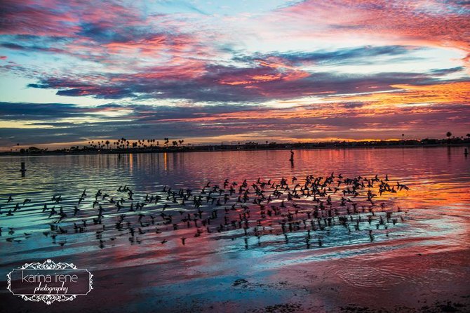 Birds and Mission Bay by Karina Irene Photography