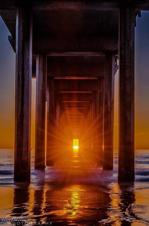 Twice a year the sunset lines up perfectly with Scripps Pier. Photo by Alex Baltov. 