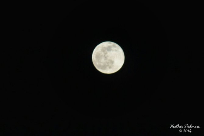 Full Moon over Balboa Park