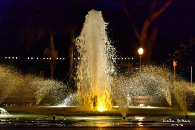 Balboa Park Nights