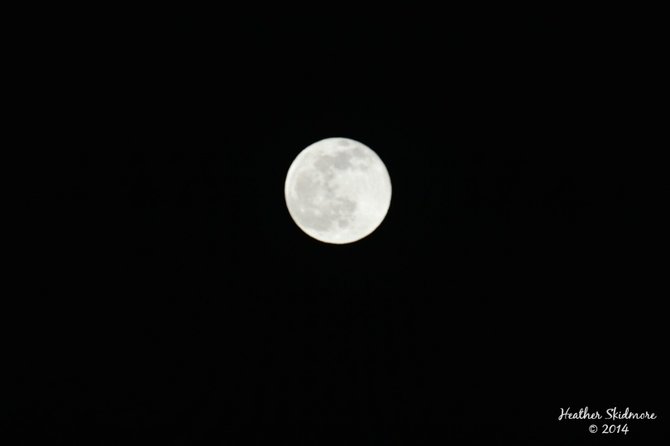 Full Moon over Balboa Park