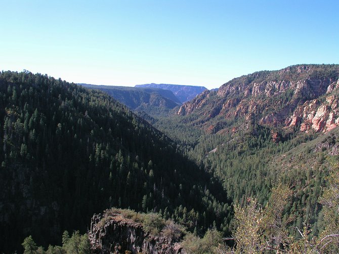 The awesome pine forest and sandstone cliffs of Oak Creek Canyon, near Flagstaff Arizona.  From September 2009.  