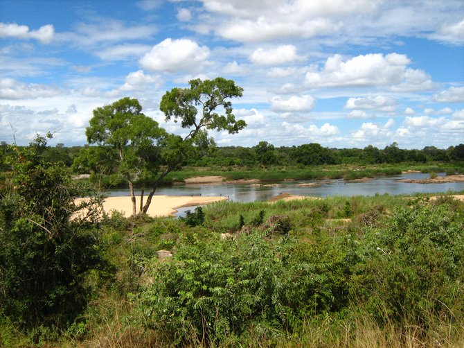 View over the Sabie River in Kruger National Park, South Africa