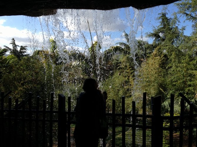 Under the waterfall