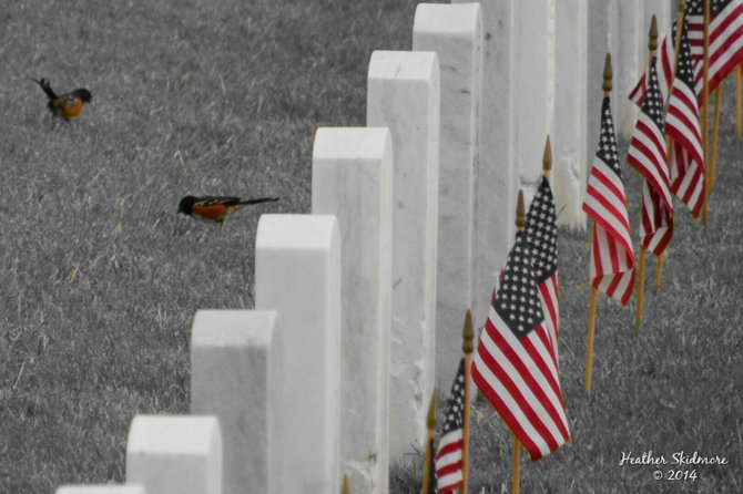 Fort Rosecrans National Cemetery