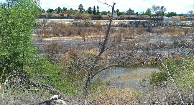 Scorched parts of San Luis Rey Riverbed, where police say they witnessed arson - Image by Bob Weatherston