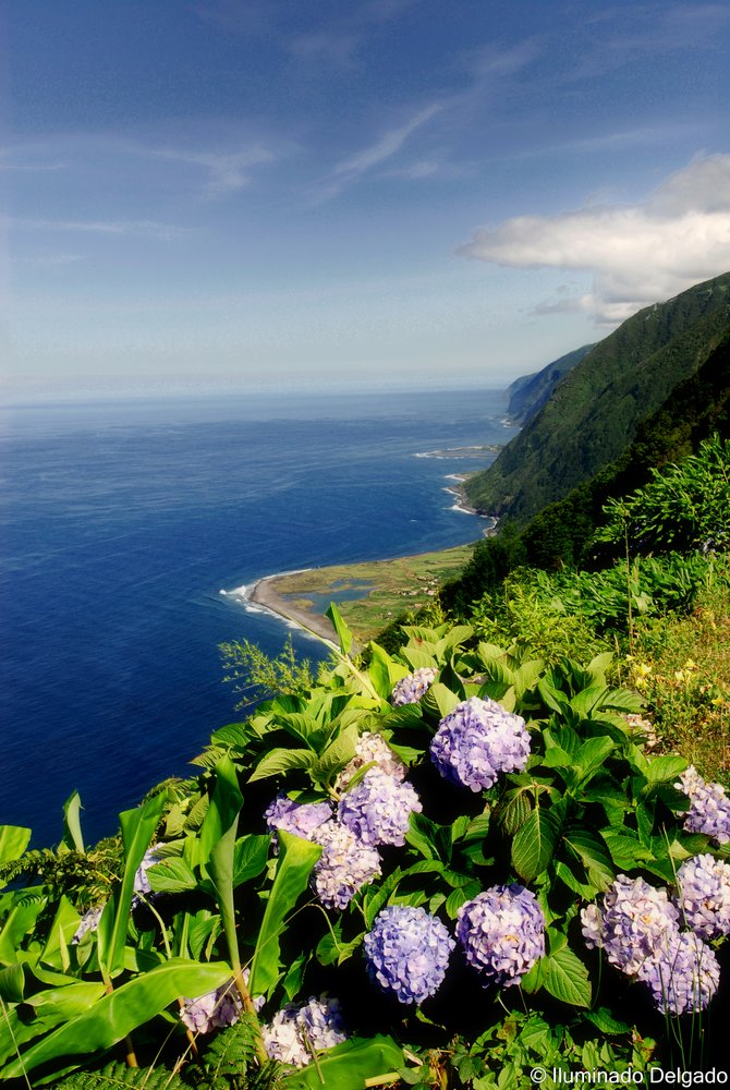 View from faja de Santo Cristo, Azores, Portugal.