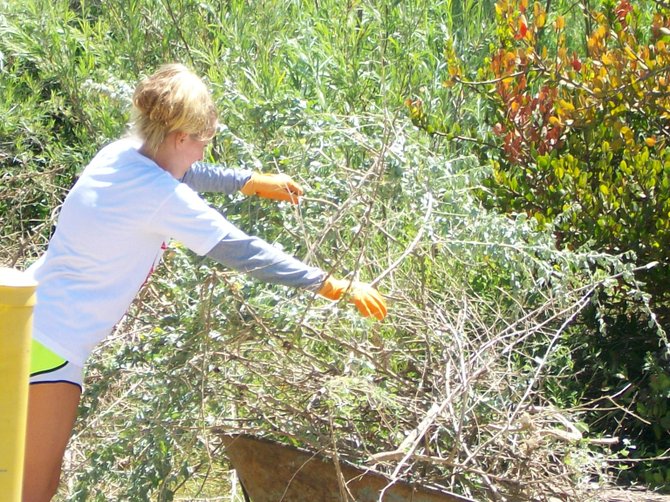 Volunteers prepare trimmed vegetation for a trip to the big dumpster at Famosa Slough in the Midway District.