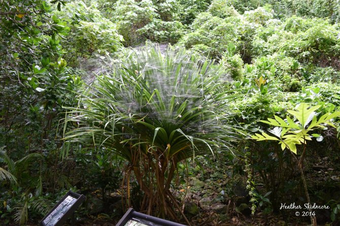 American Samoa