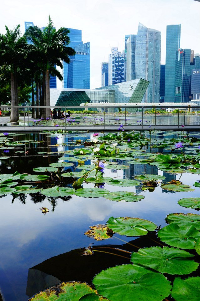 The crisp, clean beauty of Singapore is such a contrast to the rest of Indochina!
