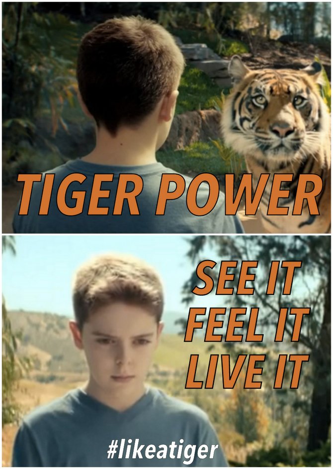 Scene from M&C Saatchi LA's "Tiger Campaign" for the San Diego Zoo Safari Park featuring happy, well-adjusted child.