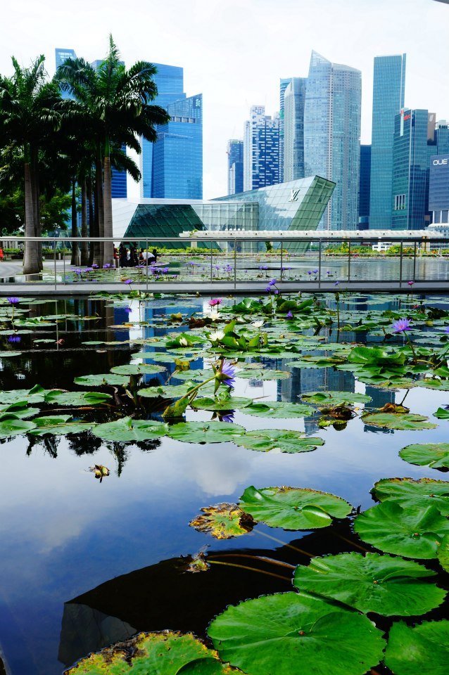 The crisp, clean beauty of Singapore is a contrast to the rest of Indochina.
