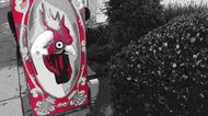 photo thumbnail