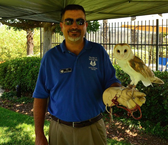 Boo the Barn Owl from Project Wildlife at our neighborhood picnic. What a majestic bird! Rancho Penasquitos, California.