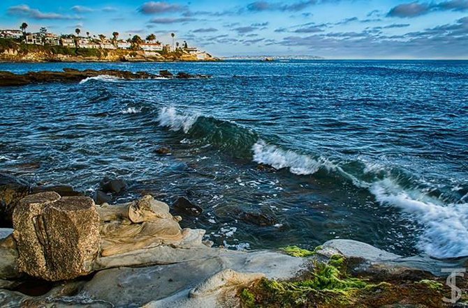 Down on the rocks in La Jolla. By T.Sutlick Photography.