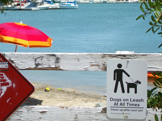 Dog leash sign posted along San Diego Bay in Pt. Loma.