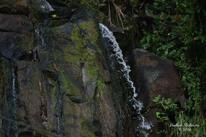 Tiny waterfall. 
American Samoa