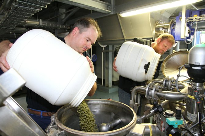 St-Feuillien's Alexis Briol and Green Flash's Chuck Silva adding hops at the former's facility in Belgium.