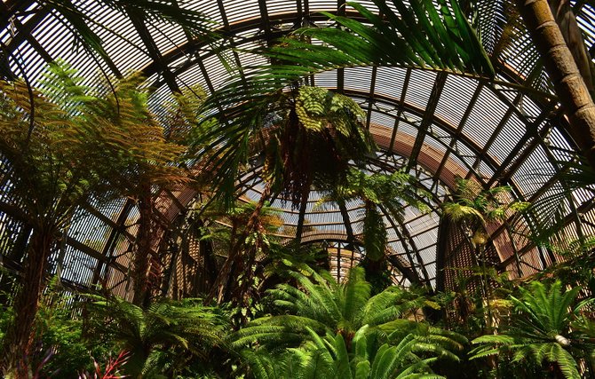 The inside of the awesome Botanical Building at Balboa Park.  Summer 2014.  