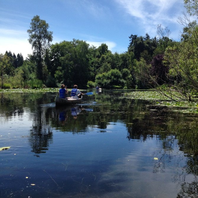 Canoe-ing at the University of Washington, Arboretum Park.
