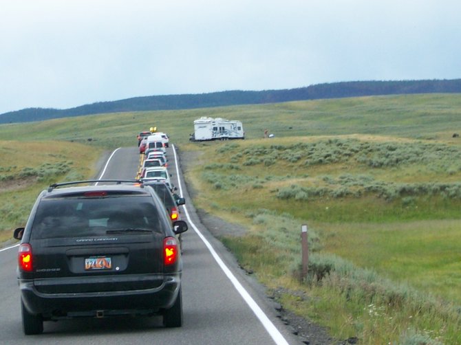 Driving in  Yellowstone & come upon stopped traffic? It's an "Animal Jam."
