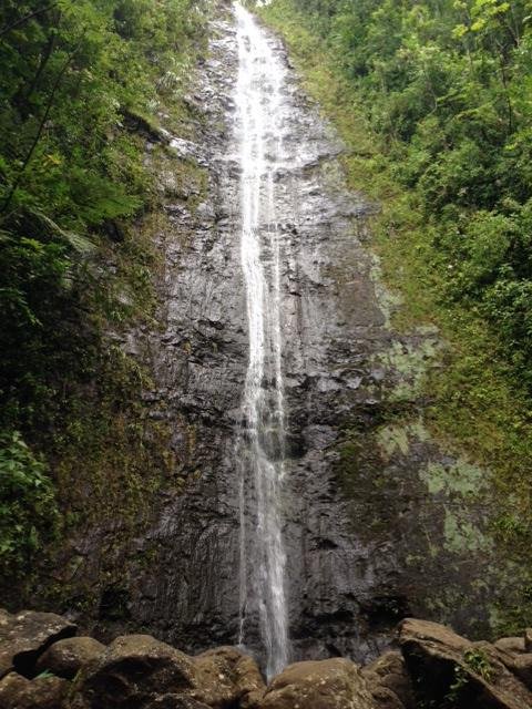 Manoa falls Oahu Hawaii  August 2014