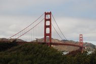 photo thumbnail