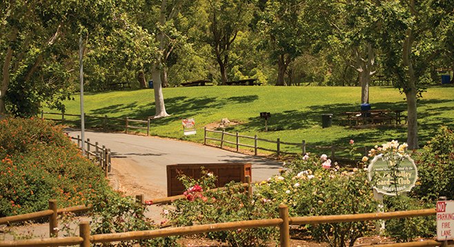 Many trails radiate from Lake Poway’s grassy, manicured core. This is the entrance.