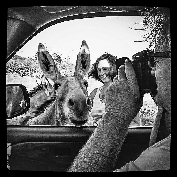 Friendly donkeys at the East Cape









San Jose Del Cabo, Baja, Mexico