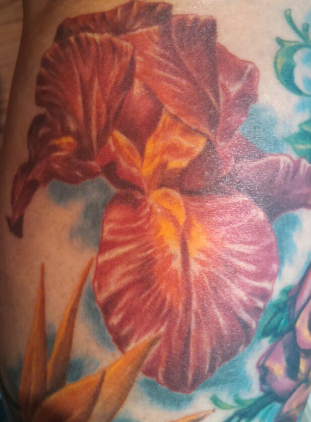 This iris was done for me by Isaac at EC Tattoo in El Cajon. It's beautiful and I love it. I give Isaac an idea of what I want and I am always impressed how he takes my idea and makes it so much more than I could imagine. 