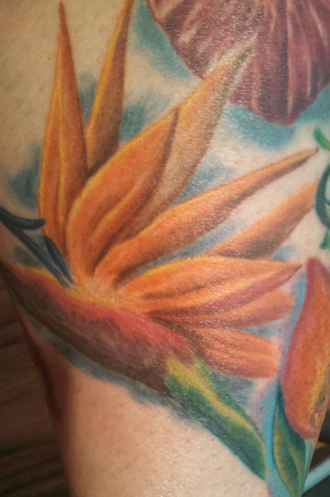 This bird of paradise was done for me by Isaac at EC Tattoo in El Cajon. When I asked him for this one I was again amazed with his talent and beautiful work. This particular flower reminds me of my dad who has been gone now for over 7 years. When out and about in San Diego with him (I'm second generation San Diegan born and raised)  my dad would notice these and point these out to us kids. 