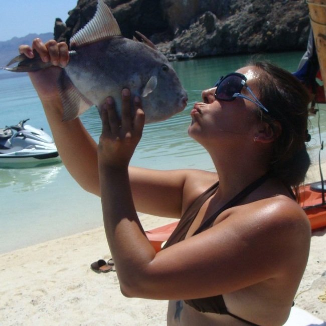 I caught this, actually a few trigger fish in 2012 in Mulege, Baja Mexico. Used baby squid as bate and I had anchored my jet ski in the middle of the Bahia, was there about 2hrs.

-Edith 