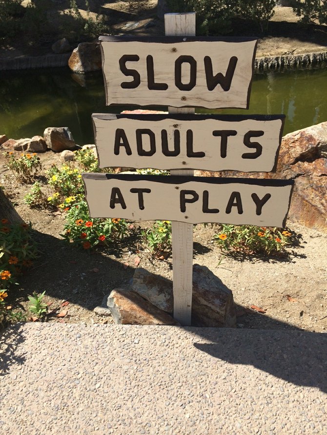 Adults at Play