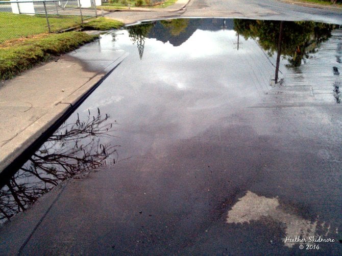 Puddle reflections in American Samoa