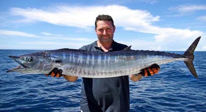 Example of a wahoo - Image by Sablin