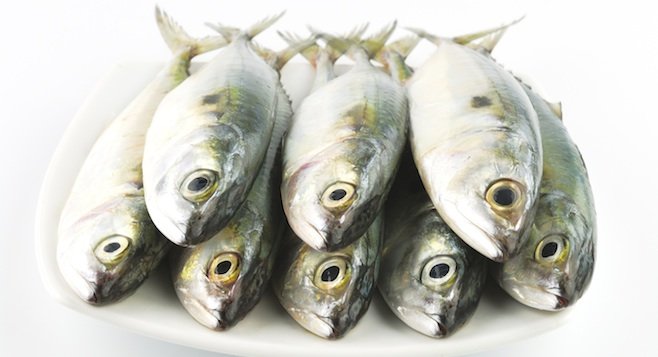 Plateful of mackerel
