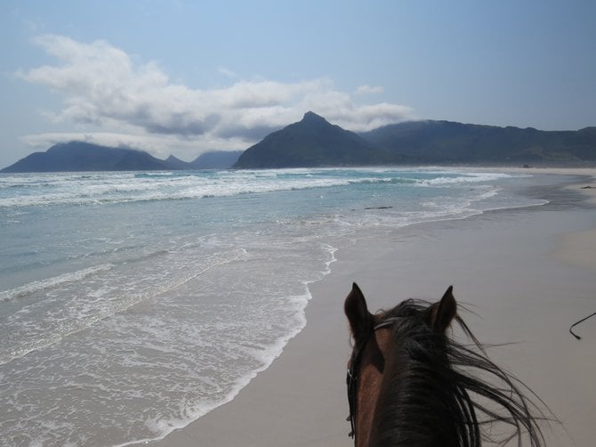 Horse back riding on Noordhoek Beach, South Africa - Kendall Alaimo
