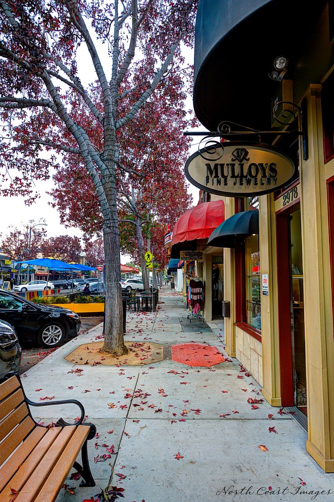 Fall Comes to State Street, Carlsbad.