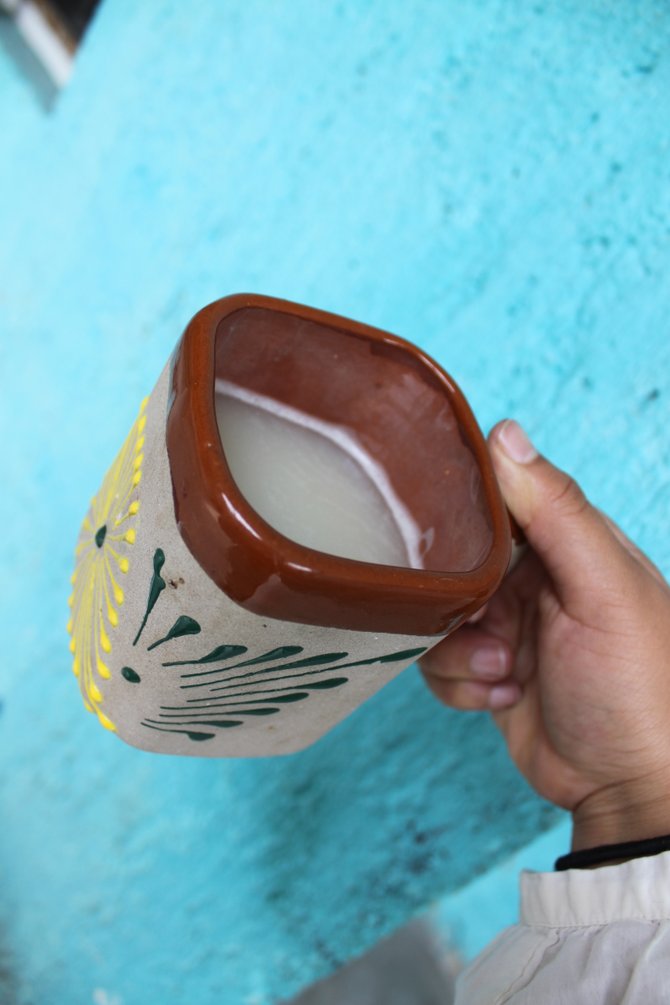 The drink of the Gods, pulque .