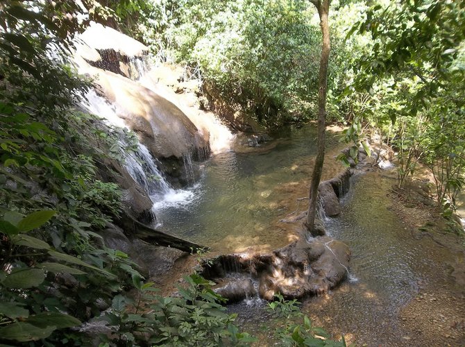 Nearby waterfall in the jungle. 