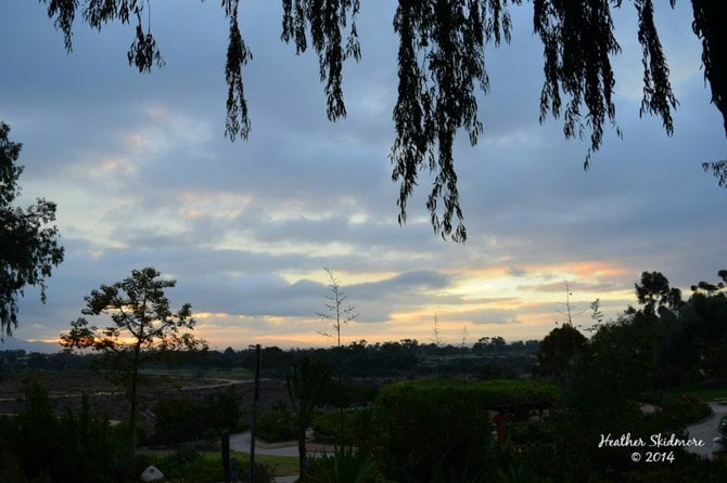 Balboa Park Sunrise 