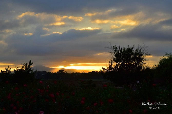 Balboa Park Sunrise 