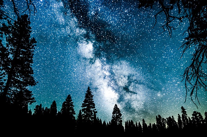 Forrest Lights
Watching the Milky Way rise and set in Mammoth, CA