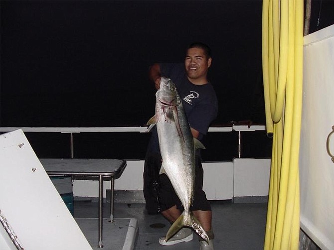 37lbs. Yellowtail caught on the toronado out of pierpoint landing.  Fought for an hour and a half.  Used 15lbs. Test izorline on a penn 535gs on a calico special rod.  2/0 hook and live squid were used to catch it...