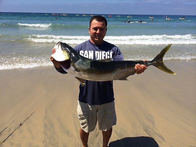 I caught this bad boy trolling live bait in about 100 feet of water in front of La Jolla Shores park. 