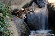 photo thumbnail