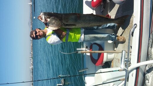 Caught this 62 lb. White sea bass after work off Point 
loma in 100' of water. I was solo. Sorry don't know how to rotate.
